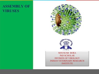 ASSEMBLY OF
VIRUSES
MOUSUMI BORA
PhD SCHOLAR
DIVISION OF VIROLOGY
INDIAN VETERINARY RESEARCH
INSTITUTE
 