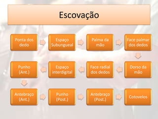 Escovação
Ponta dos
dedo

Espaço
Subungueal

Palma da
mão

Face palmar
dos dedos

Punho
(Ant.)

Espaço
interdigital

Face radial
dos dedos

Dorso da
mão

Antebraço
(Ant.)

Punho
(Post.)

Antebraço
(Post.)

Cotovelos

 