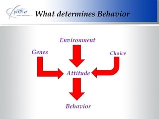 What determines Behavior Behavior Attitude Genes Environment Choice 