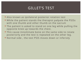 Comprehensive Assessment and Anatomy of the Pelvis and Sacroiliac Joint ...