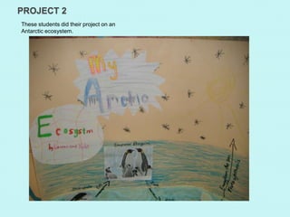 PROJECT 2
These students did their project on an
Antarctic ecosystem.
 