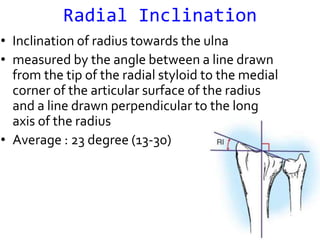 Radial Angulation Radiology Assessent and radiology of distal end radius fracture | PPTX