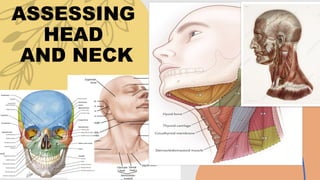 HEAD-AND-NECK-BSN-HEALTH-ASSESSMENT.pptx