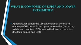 WHAT IS COMPOSED OF UPPER AND LOWER
EXTREMITIES?
• Appendicular bones: the 126 appendicular bones are
made up of 64 bones in the upper extremities (the arms,
wrists, and hand) and 62 bones in the lower extremities
(the legs, ankles, and feet).
 