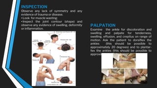INSPECTION
Observe any lack of symmetry and any
evidence of trauma or disease.
•Look for muscle wasting;
•Inspect the joint contour (shape) and
observe any evidence of swelling, deformity
or inflammation.
PALPATION
Examine the ankle for discoloration and
swelling and palpate for tenderness,
swelling, effusion, and crepitus on range of
motion. Ask the patient to dorsiflex the
ankles (this should be possible to
approximately 20 degrees) and to plantar-
fex the ankles (this should be possible to
approximately 45 degrees)
 