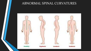 ABNORMAL SPINAL CURVATURES
 