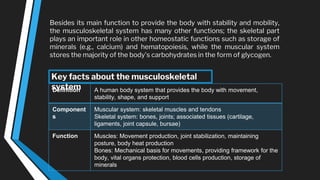 Besides its main function to provide the body with stability and mobility,
the musculoskeletal system has many other functions; the skeletal part
plays an important role in other homeostatic functions such as storage of
minerals (e.g., calcium) and hematopoiesis, while the muscular system
stores the majority of the body's carbohydrates in the form of glycogen.
Definition A human body system that provides the body with movement,
stability, shape, and support
Component
s
Muscular system: skeletal muscles and tendons
Skeletal system: bones, joints; associated tissues (cartilage,
ligaments, joint capsule, bursae)
Function Muscles: Movement production, joint stabilization, maintaining
posture, body heat production
Bones: Mechanical basis for movements, providing framework for the
body, vital organs protection, blood cells production, storage of
minerals
Key facts about the musculoskeletal
system
 