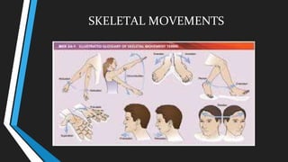 SKELETAL MOVEMENTS
 