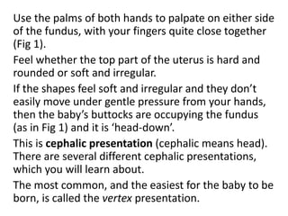Assessing-the-Woman-in-Labor WHO REF.pptx