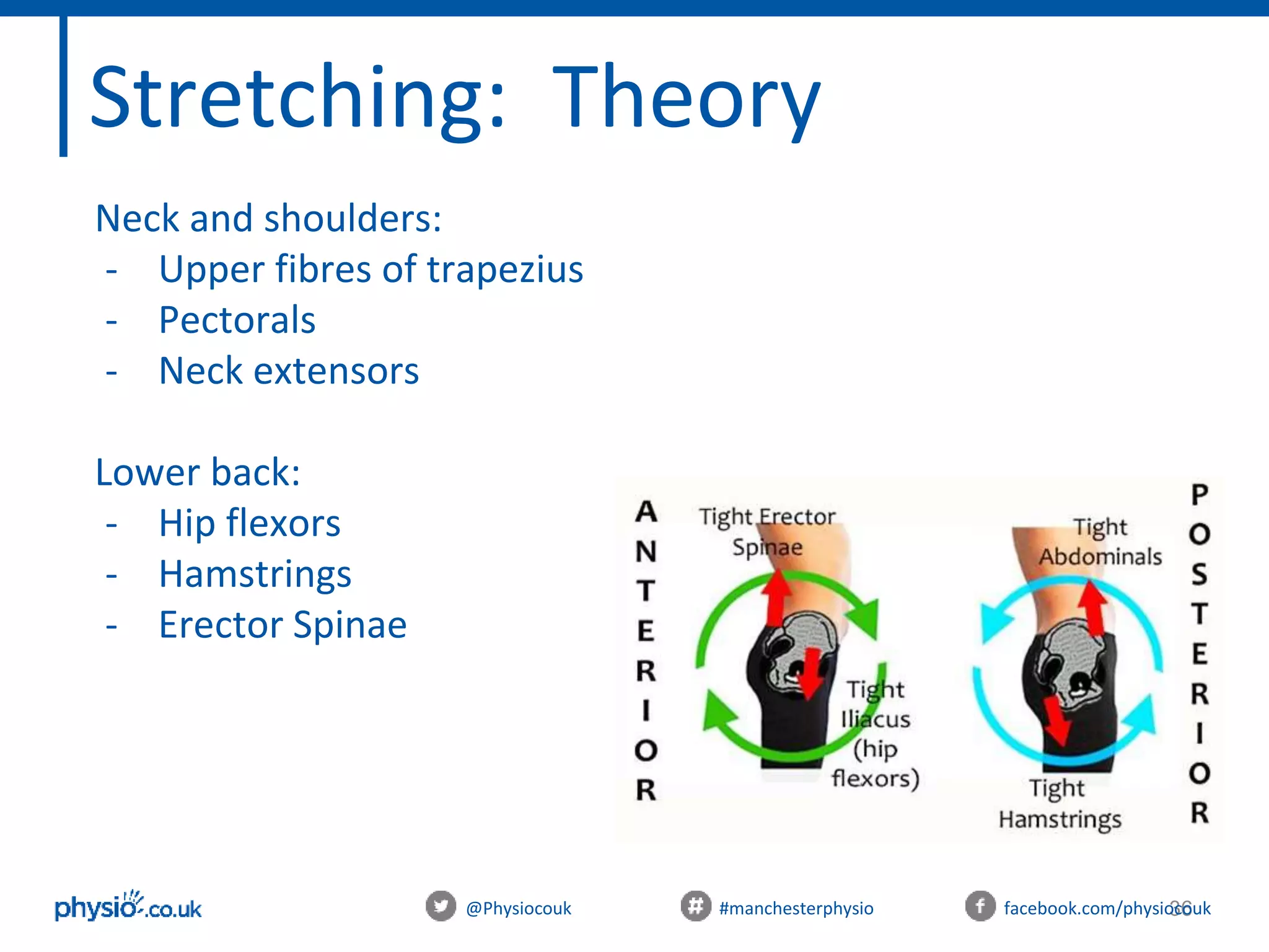 Assessing and Treating Posture Workshop | PPTX