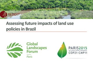 Assessing future impacts of land use
policies in Brazil
 