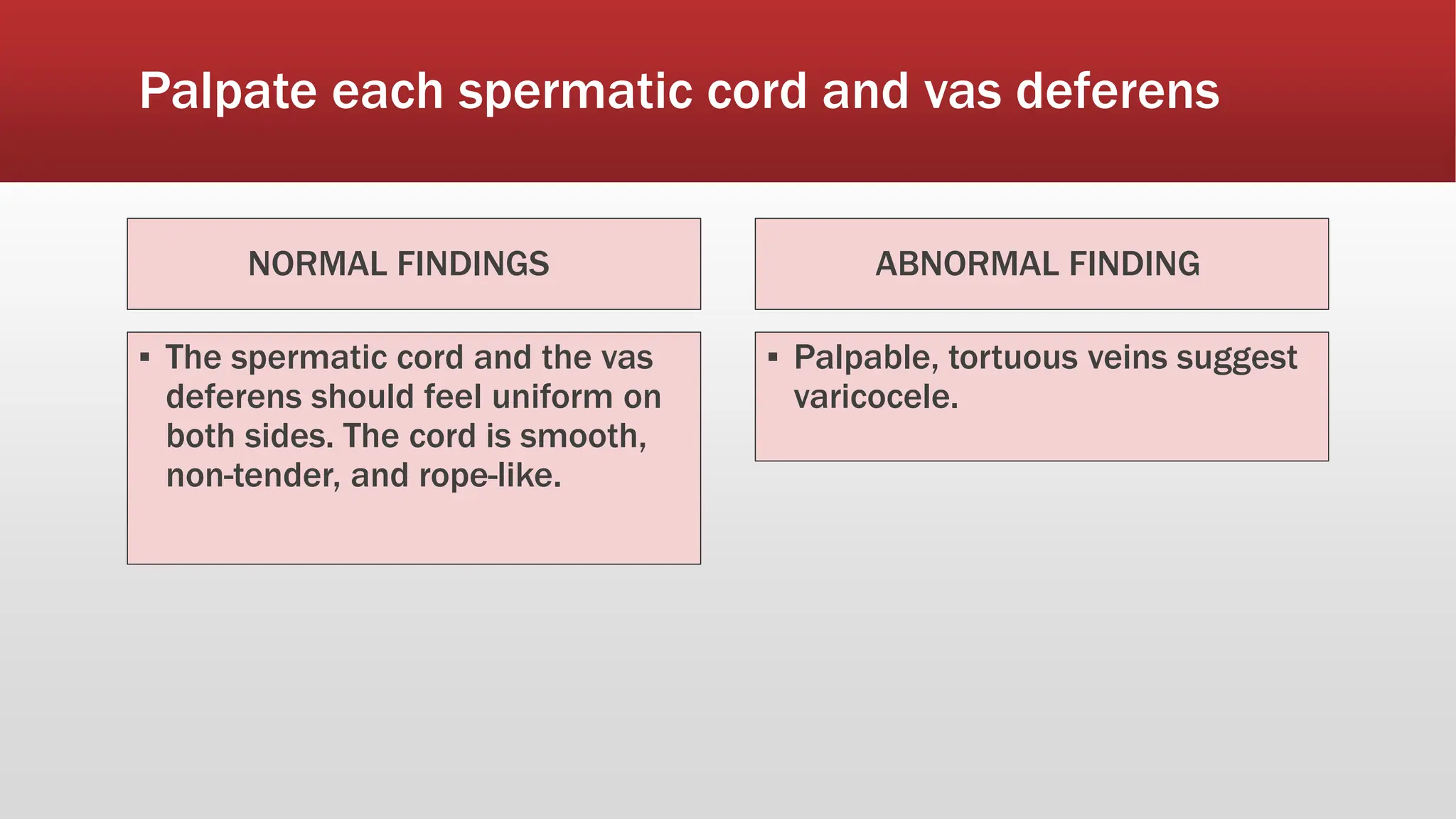 Vasogram Assessing Male Genitalia and Rectum.pptx