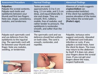 Assessing Male Genitalia and Rectum (1).pptx
