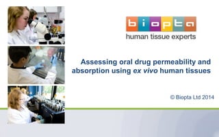 Assessing oral drug permeability and
absorption using ex vivo human tissues

© Biopta Ltd 2014

 