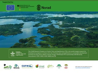 Assessing redd+ readiness to maximize climate finance impact