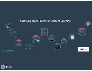 Assessing team process