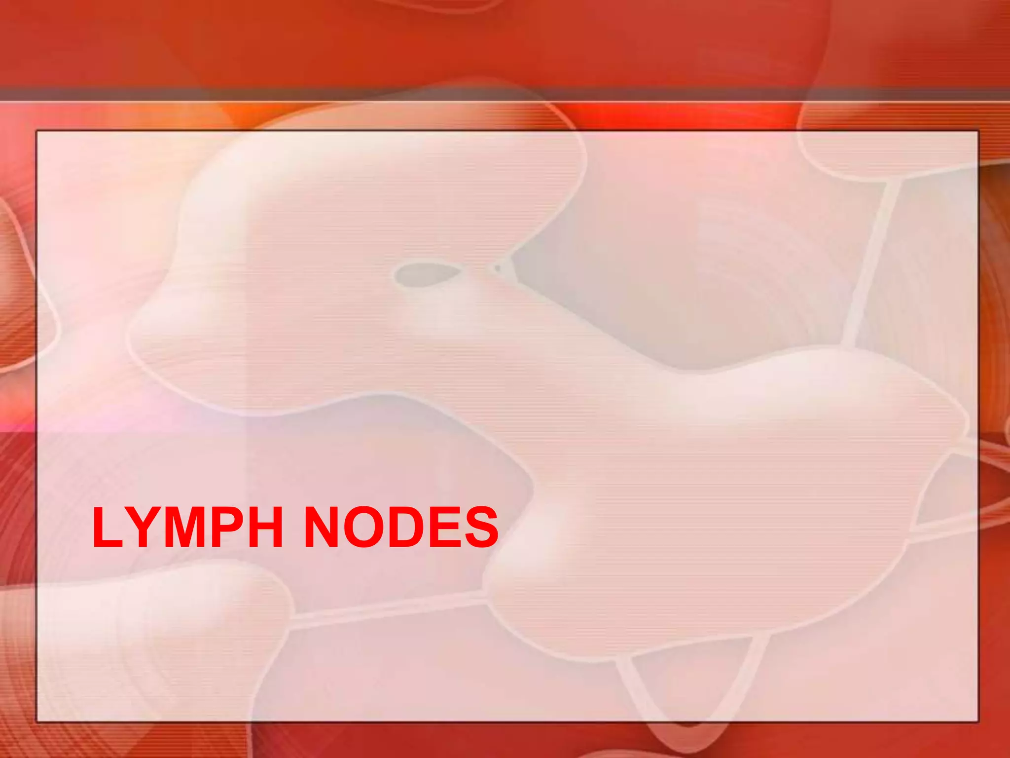 Smooth muscleNippleDuct openingAreolaSebaceous gland