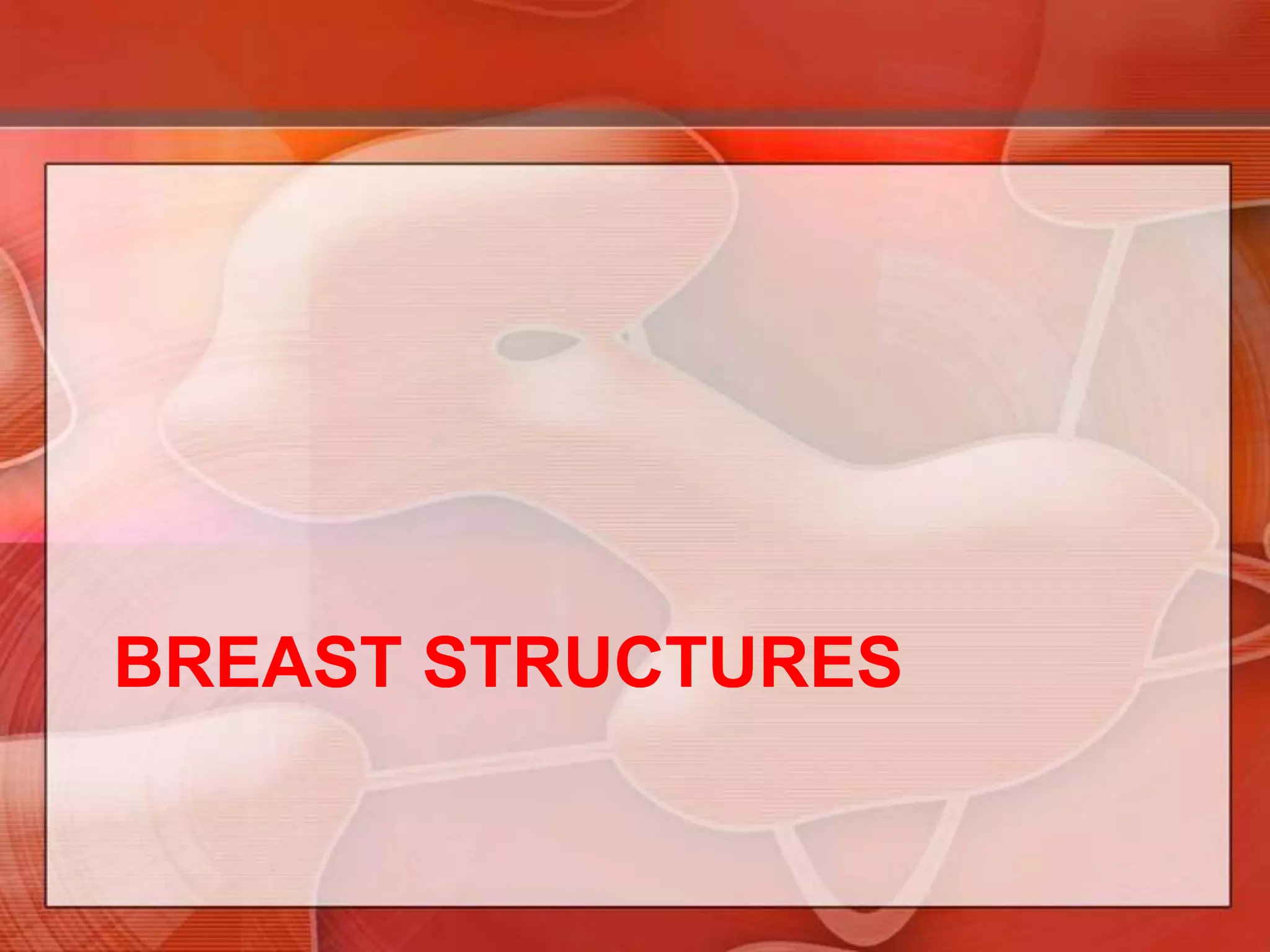 An axillary tail of breast tissue extends toward the anterior axillary fold. Alternatively localized as the time on the face of a clock and the distance in centimeters from the nipple.