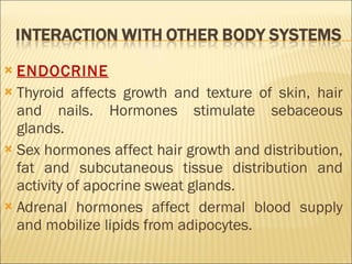ENDOCRINE Thyroid affects growth and texture of skin, hair and nails. Hormones stimulate sebaceous glands.  Sex hormones affect hair growth and distribution, fat and subcutaneous tissue distribution and activity of apocrine sweat glands.  Adrenal hormones affect dermal blood supply and mobilize lipids from adipocytes. 
