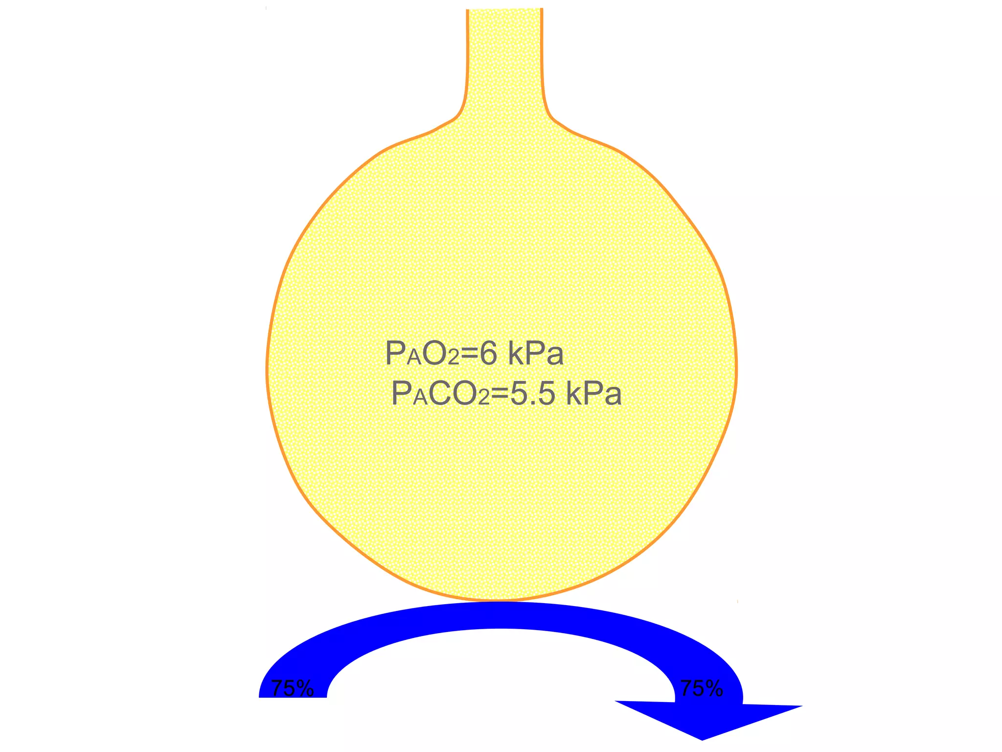 PAO2=6 kPa
PACO2=5.5 kPa
75% 75%
 