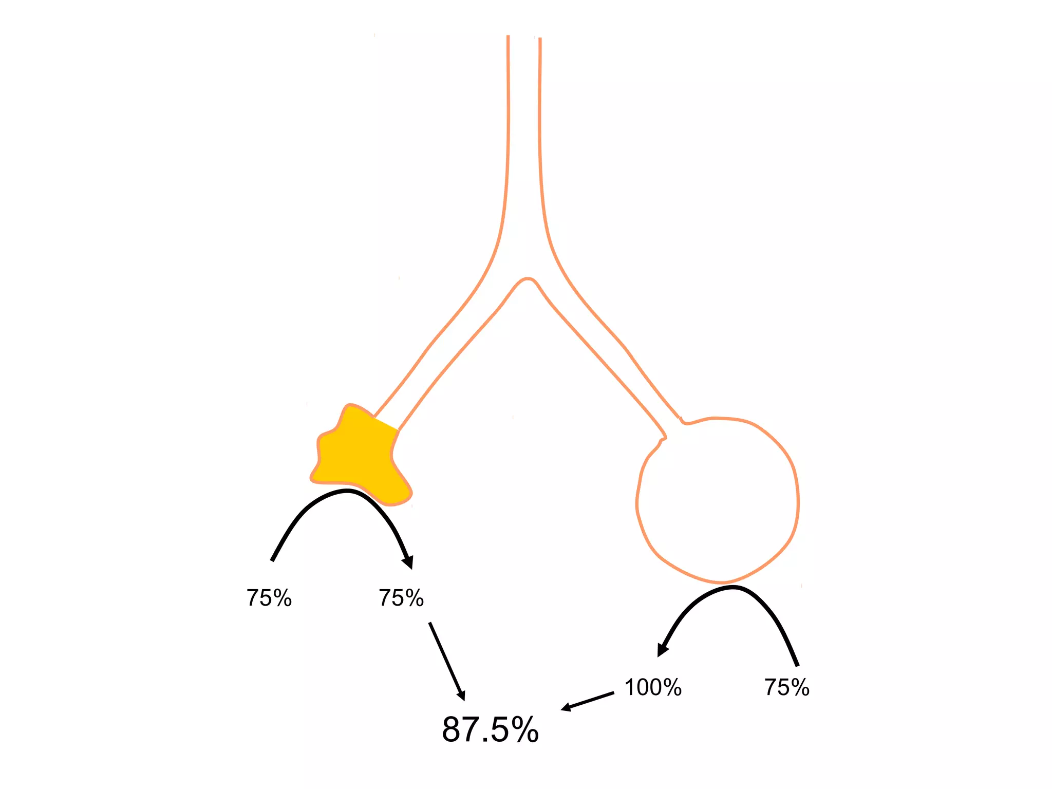 75% 75%
100% 75%
87.5%
 