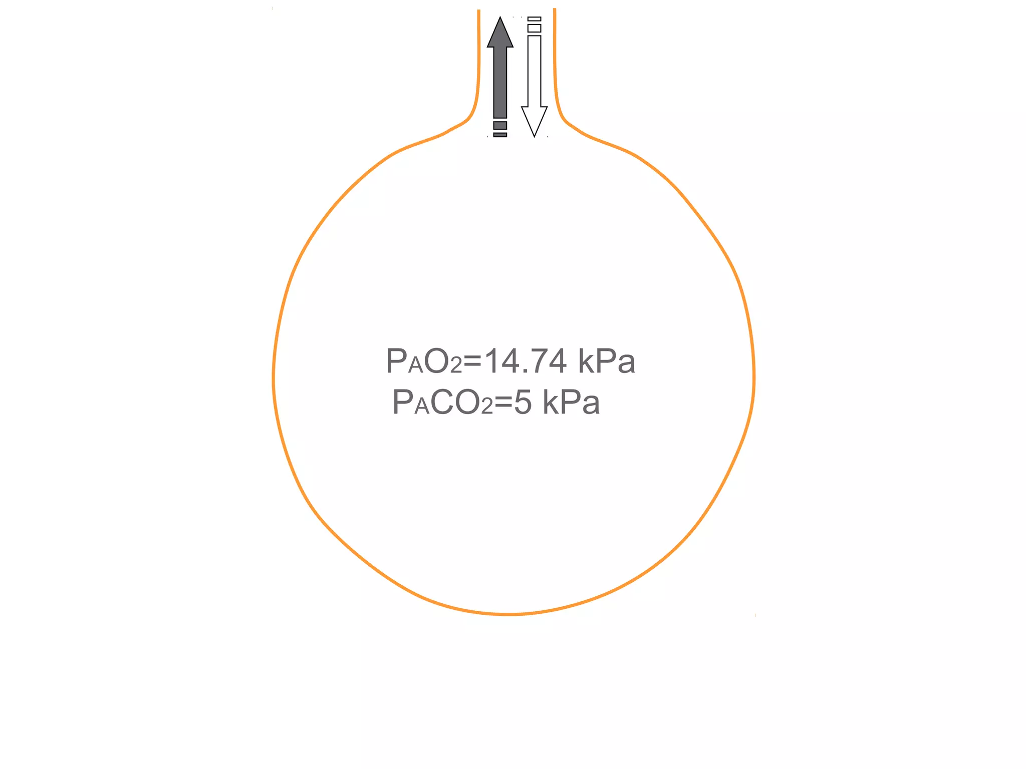 PAO2=14.74 kPa
PACO2=5 kPa
 