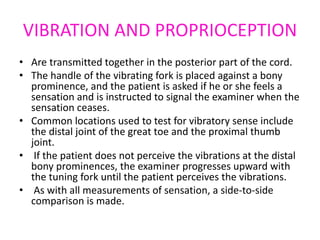 VIBRATION AND PROPRIOCEPTION
• Are transmitted together in the posterior part of the cord.
• The handle of the vibrating fork is placed against a bony
prominence, and the patient is asked if he or she feels a
sensation and is instructed to signal the examiner when the
sensation ceases.
• Common locations used to test for vibratory sense include
the distal joint of the great toe and the proximal thumb
joint.
• If the patient does not perceive the vibrations at the distal
bony prominences, the examiner progresses upward with
the tuning fork until the patient perceives the vibrations.
• As with all measurements of sensation, a side-to-side
comparison is made.
 