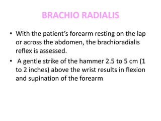 BRACHIO RADIALIS
• With the patient’s forearm resting on the lap
or across the abdomen, the brachioradialis
reflex is assessed.
• A gentle strike of the hammer 2.5 to 5 cm (1
to 2 inches) above the wrist results in flexion
and supination of the forearm
 