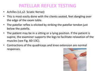 PATELLAR REFLEX TESTING
• Achilles (s1,s2- Sciatic Nerve):
• This is most easily done with the clients seated, feet dangling over
the edge of the exam table.
• The patellar reflex is elicited by striking the patellar tendon just
below the patella.
• The patient may be in a sitting or a lying position. If the patient is
supine, the examiner supports the legs to facilitate relaxation of the
muscles (see Fig. 60-13C).
• Contractions of the quadriceps and knee extension are normal
responses.
 