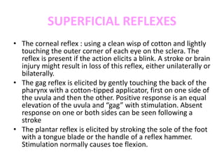 SUPERFICIAL REFLEXES
• The corneal reflex : using a clean wisp of cotton and lightly
touching the outer corner of each eye on the sclera. The
reflex is present if the action elicits a blink. A stroke or brain
injury might result in loss of this reflex, either unilaterally or
bilaterally.
• The gag reflex is elicited by gently touching the back of the
pharynx with a cotton-tipped applicator, first on one side of
the uvula and then the other. Positive response is an equal
elevation of the uvula and “gag” with stimulation. Absent
response on one or both sides can be seen following a
stroke
• The plantar reflex is elicited by stroking the sole of the foot
with a tongue blade or the handle of a reflex hammer.
Stimulation normally causes toe flexion.
 