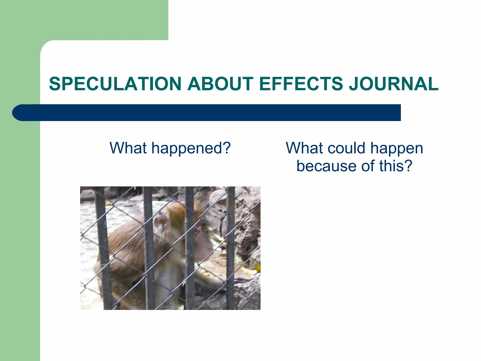 SPECULATION ABOUT EFFECTS JOURNAL
What happened?

What could happen
because of this?

 