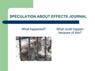 SPECULATION ABOUT EFFECTS JOURNAL
What happened?

What could happen
because of this?

 