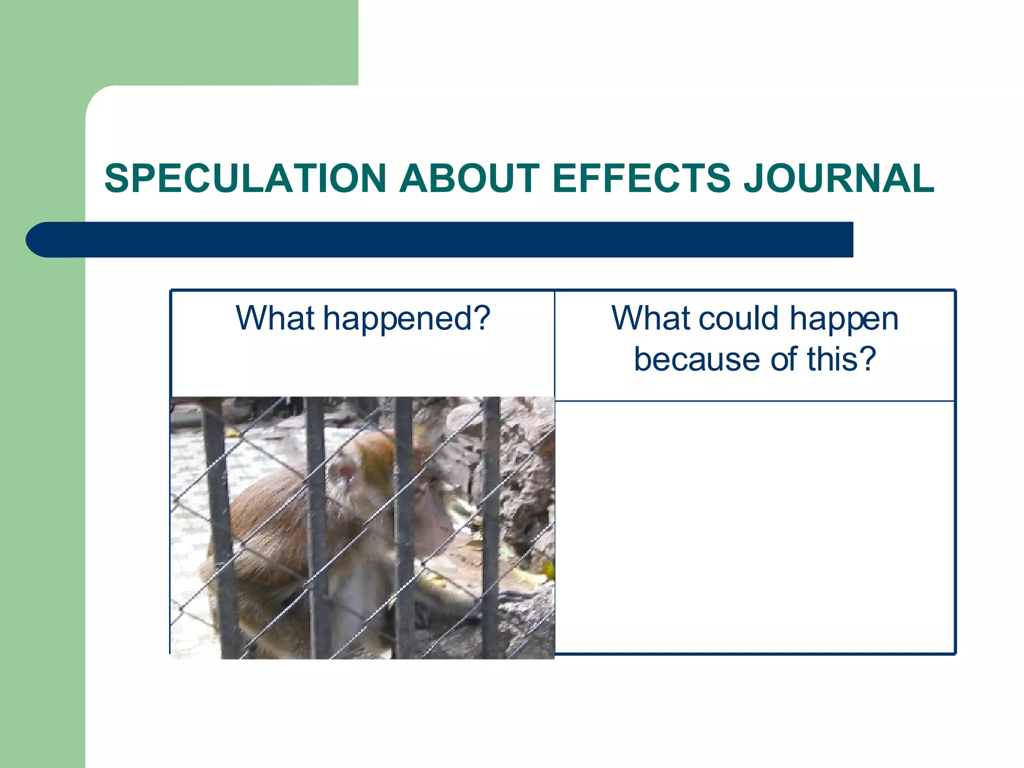 SPECULATION ABOUT EFFECTS JOURNAL What could happen because of this? What happened? 