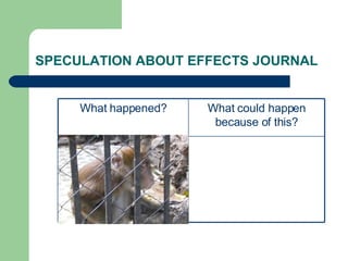 SPECULATION ABOUT EFFECTS JOURNAL What could happen because of this? What happened? 