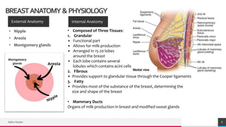 Ca. breast for NGO.pptx