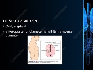 ASSESSMENT-OF-THE-THORAX-AND-LUNGS-Copy (1).pptx