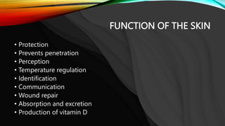 ASSESSMENT OF THE SKIN, HAIR, AND NAILS.pptx