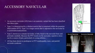 Assessment and evaluation tools for pediatric and acquired congenital ...