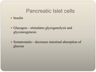 Pancreatic Islet cells
 Insulin
 Glucagon—stimulates glycogenolysis and
glyconeogenesis
 Somatostatin—decreases intesti...
