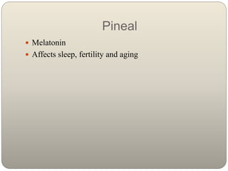 Pineal
 Melatonin
 Affects sleep, fertility and aging
 