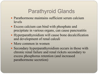 Parathyroid Glands
 Parathormone maintains sufficient serum calcium
levels
 Excess calcium can bind with phosphate and
p...