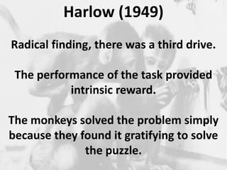 Harlow (1949) 
Radical finding, there was a third drive. 
The performance of the task provided 
intrinsic reward. 
The monkeys solved the problem simply 
because they found it gratifying to solve 
the puzzle. 
 