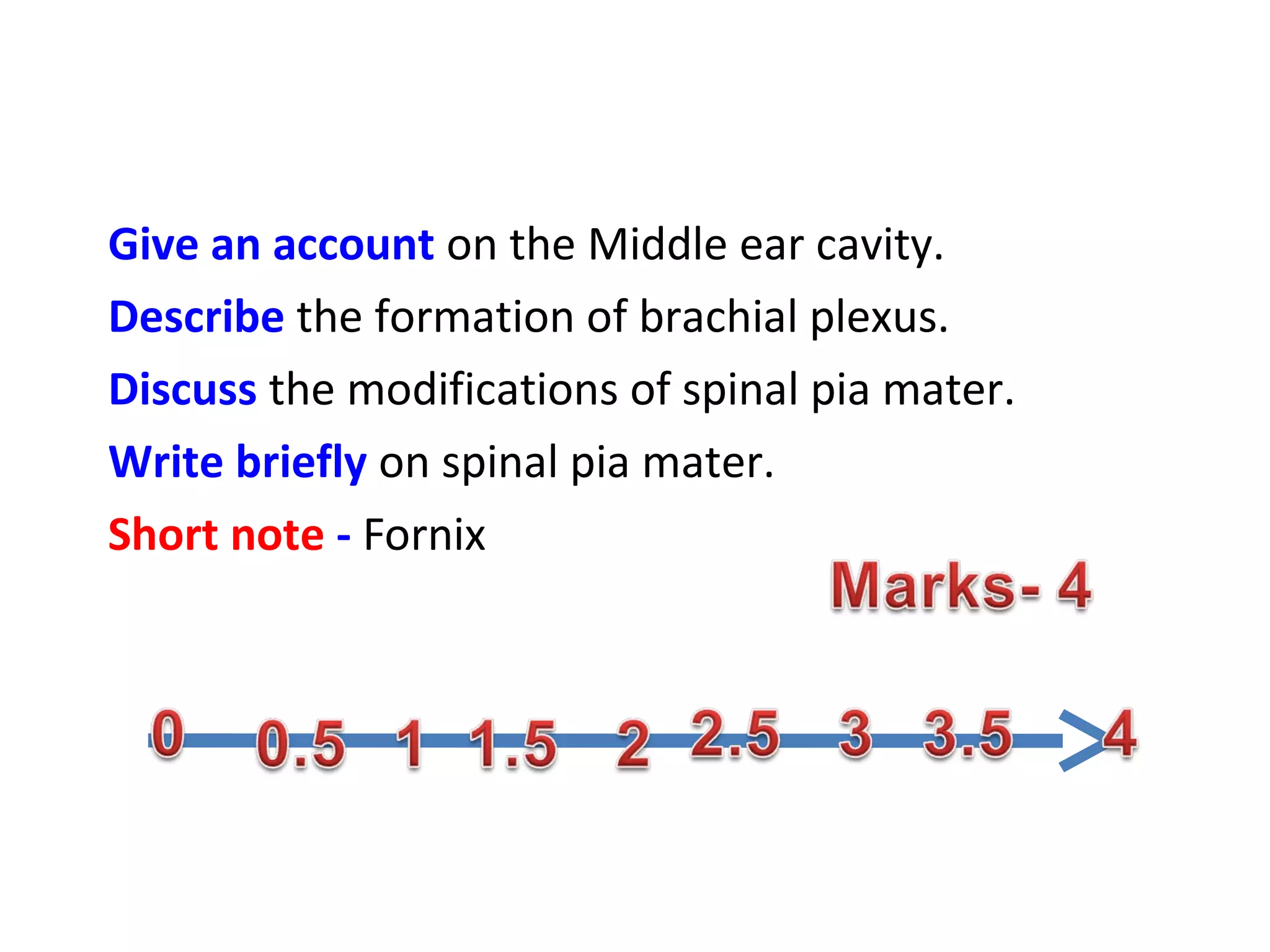 Give an account on the Middle ear cavity.
Describe the formation of brachial plexus.
Discuss the modifications of spinal pia mater.
Write briefly on spinal pia mater.
Short note - Fornix
 