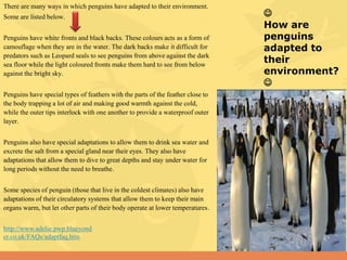 Plant and Animal Adaptations | PPT