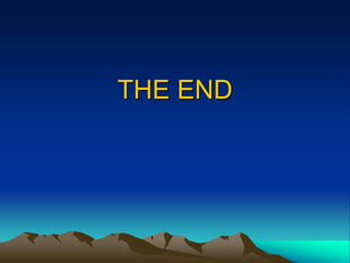 THE END
 