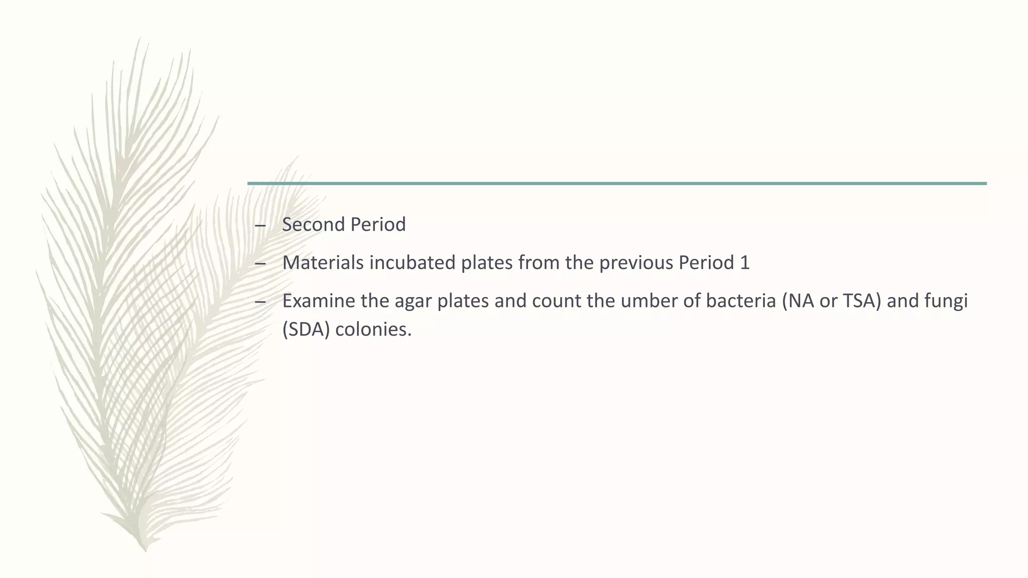 – Second Period
– Materials incubated plates from the previous Period 1
– Examine the agar plates and count the umber of bacteria (NA or TSA) and fungi
(SDA) colonies.
 