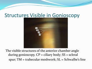 Assessment of anterior chamber | PPTX
