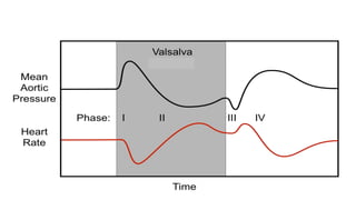 ASSESSMENT OF AUTONOMIC FUNCTION TEST.pptx