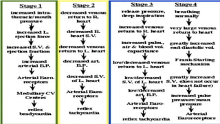 ASSESSMENT OF AUTONOMIC FUNCTION TEST.pptx