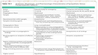 ASSESSMENT OF AUTONOMIC FUNCTION TEST.pptx